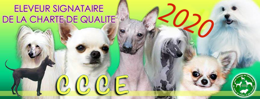 chartre2020